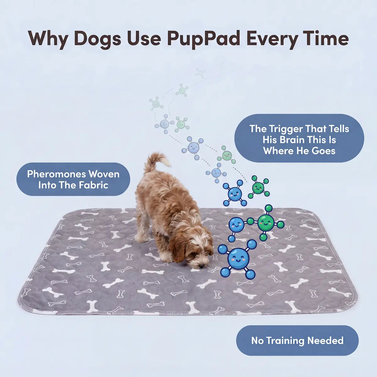 PupPad™